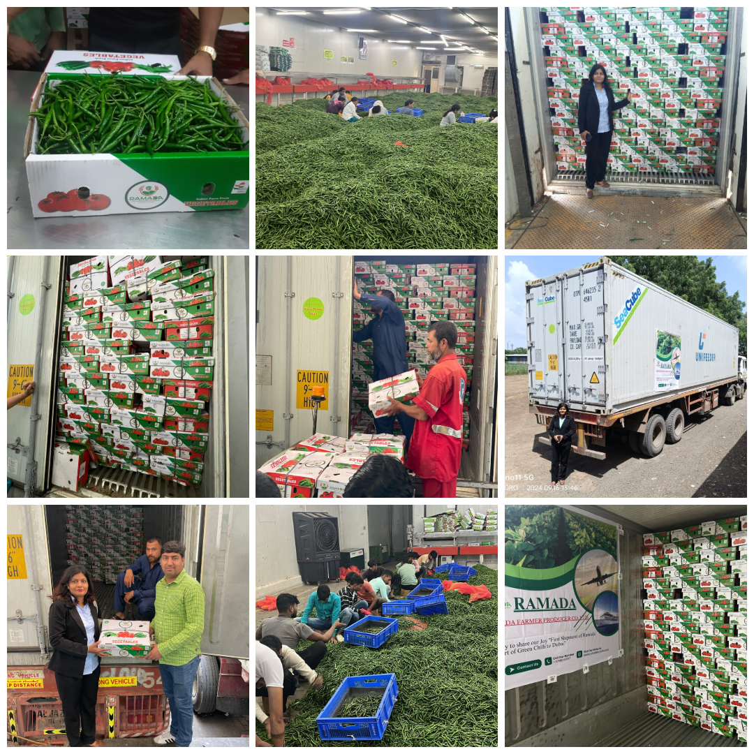 Ramada Exports Products